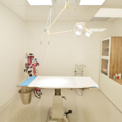 Vet_9